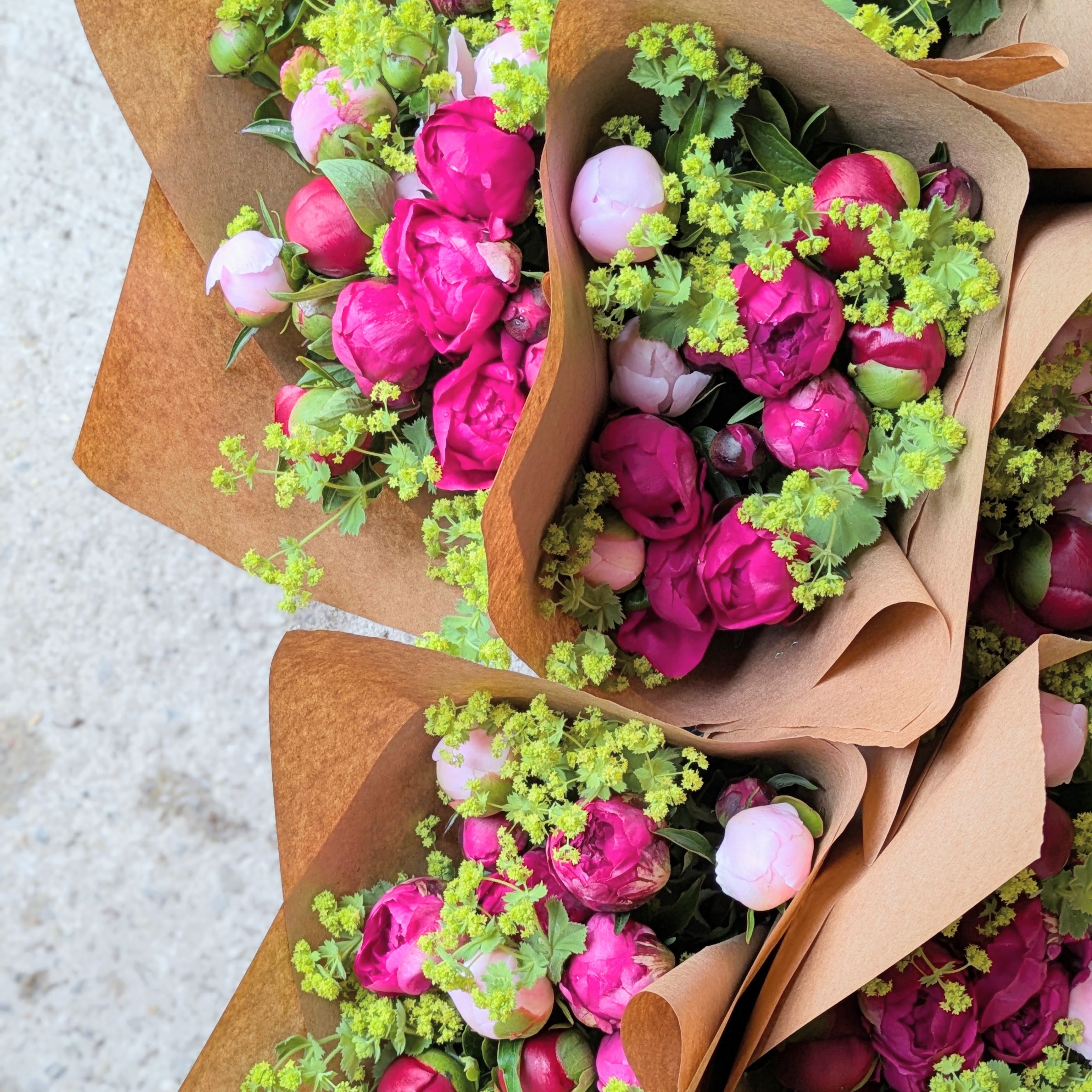 Spring Bulb Subscription (CSA 5 Week Share)