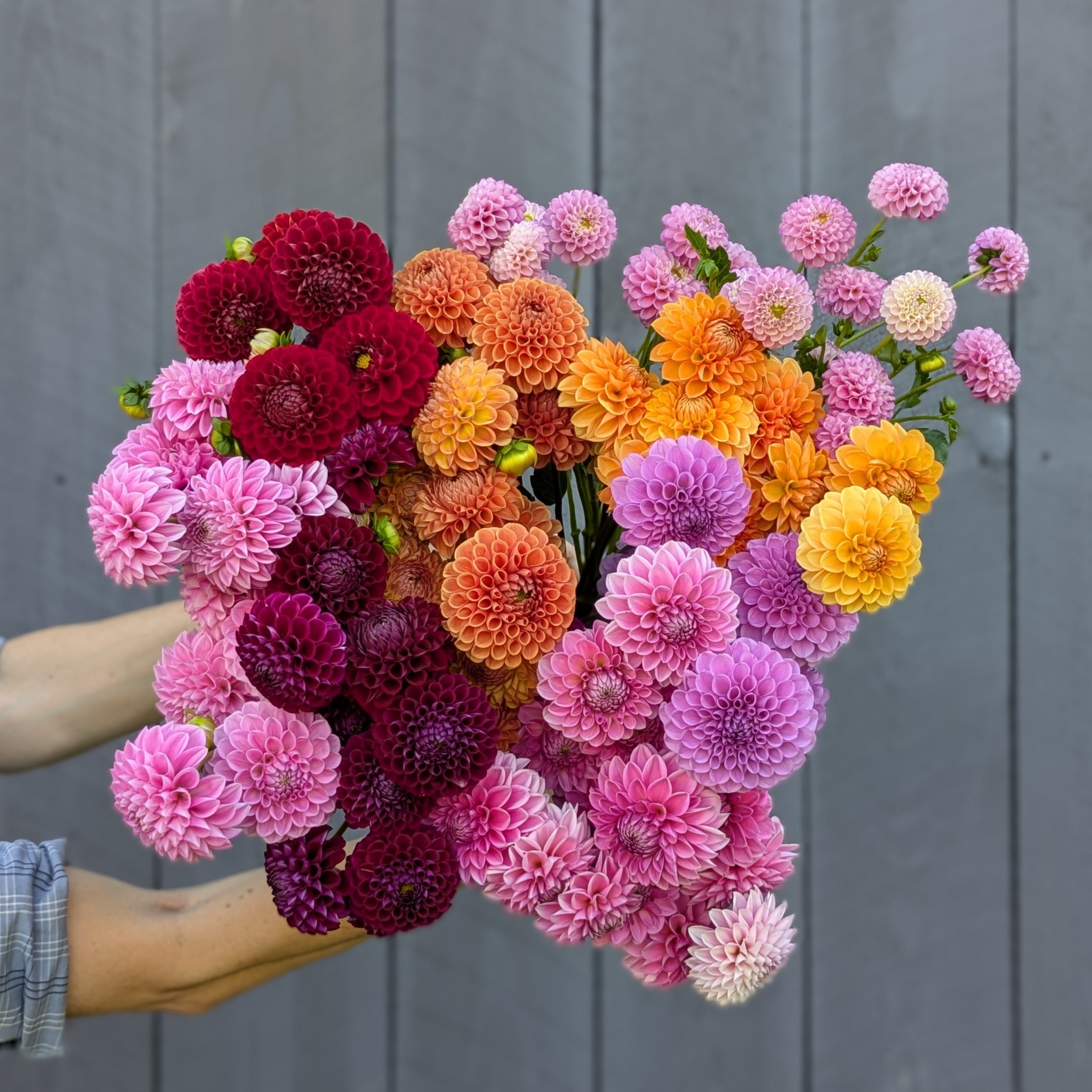 About Fox Farm Flowers – Fox Farm Flowers of Maine