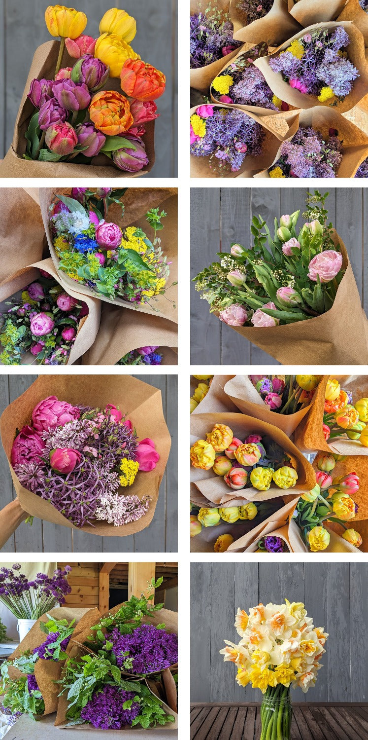 Seasonal Bouquet