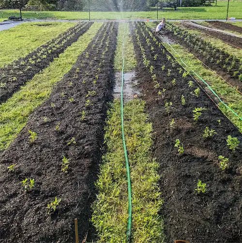 Photo of the farm